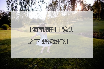 海南周刊丨镜头之下 蜂虎纷飞