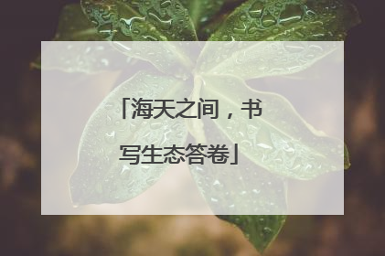 海天之间，书写生态答卷