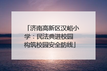 济南高新区汉峪小学：民法典进校园 构筑校园安全防线