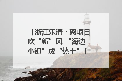 浙江乐清：聚项目吹“新”风 “海边小镇”成“热土”