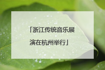 浙江传统音乐展演在杭州举行