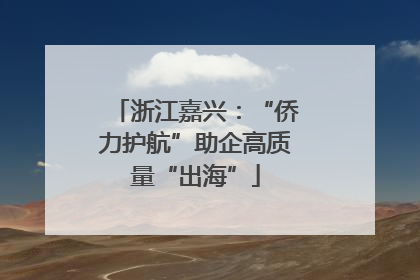 浙江嘉兴：“侨力护航”助企高质量“出海”