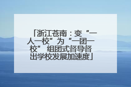浙江苍南：变“一人一校”为“一团一校” 组团式督导督出学校发展加速度