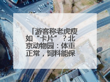 游客称老虎瘦如“卡片”？北京动物园：体重正常，饲料能保障营养需求