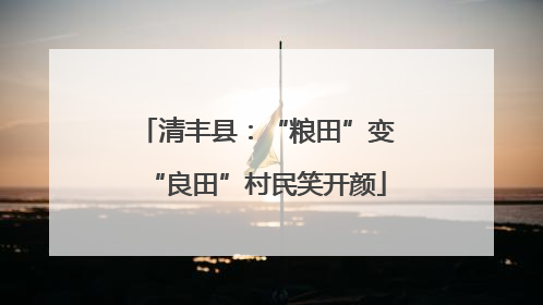 清丰县：“粮田”变“良田”村民笑开颜