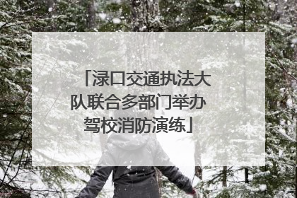 渌口交通执法大队联合多部门举办驾校消防演练