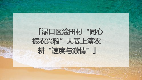 渌口区淦田村“同心振农兴粮”大赛上演农耕“速度与激情”