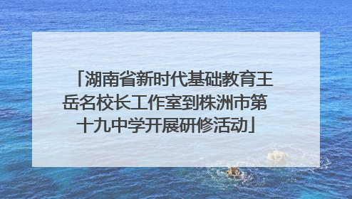 湖南省新时代基础教育王岳名校长工作室到株洲市第十九中学开展研修活动