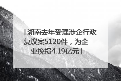 湖南去年受理涉企行政复议案5120件，为企业挽损4.19亿元