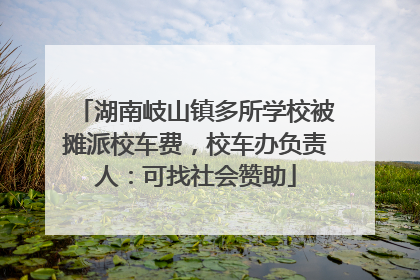 湖南岐山镇多所学校被摊派校车费，校车办负责人：可找社会赞助