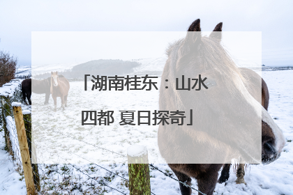 湖南桂东：山水四都 夏日探奇
