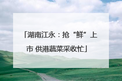 湖南江永：抢“鲜”上市 供港蔬菜采收忙