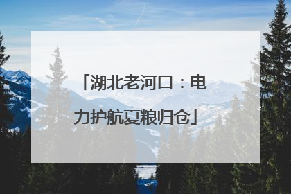 湖北老河口：电力护航夏粮归仓