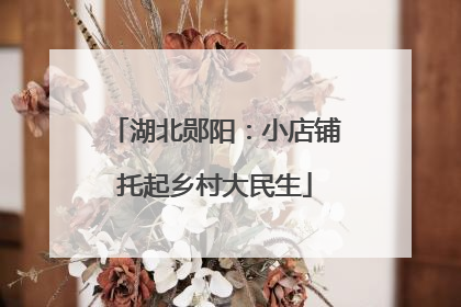 湖北郧阳：小店铺托起乡村大民生