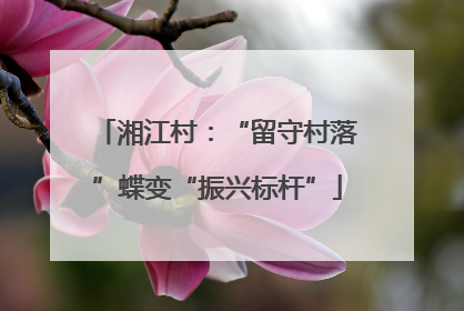 湘江村：“留守村落”蝶变“振兴标杆”