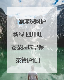 滴灌织网护新绿 四川旺苍茶园抗旱保茶管护忙