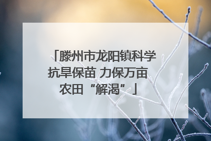 滕州市龙阳镇科学抗旱保苗 力保万亩农田“解渴”