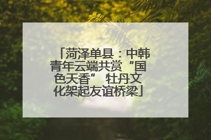 菏泽单县：中韩青年云端共赏“国色天香” 牡丹文化架起友谊桥梁