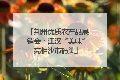 荆州优质农产品展销会：江汉“美味”亮相沙市码头