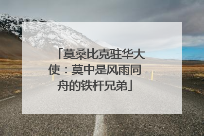 莫桑比克驻华大使：莫中是风雨同舟的铁杆兄弟