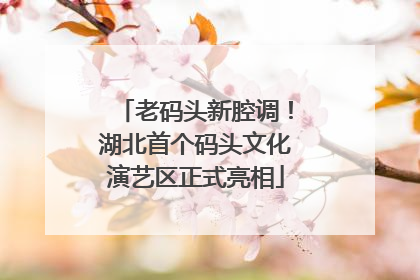 老码头新腔调！湖北首个码头文化演艺区正式亮相