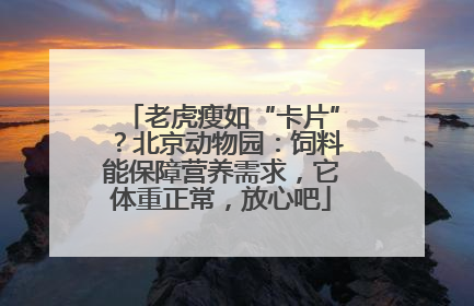 老虎瘦如“卡片”？北京动物园：饲料能保障营养需求，它体重正常，放心吧