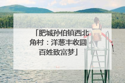 肥城孙伯镇西北角村：洋葱丰收圆百姓致富梦