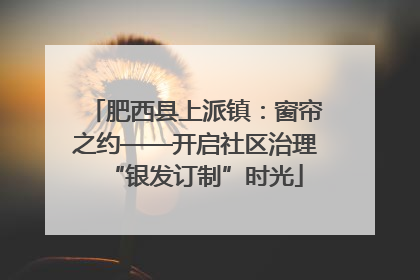 肥西县上派镇：窗帘之约——开启社区治理“银发订制”时光