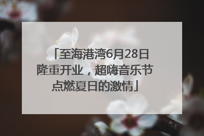 至海港湾6月28日隆重开业，超嗨音乐节点燃夏日的激情