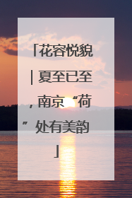 花容悦貌｜夏至已至，南京“荷”处有美韵