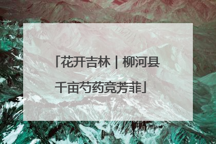 花开吉林｜柳河县千亩芍药竞芳菲