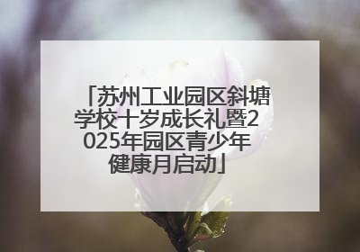 苏州工业园区斜塘学校十岁成长礼暨2025年园区青少年健康月启动