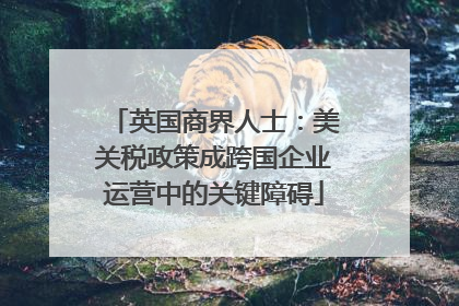 英国商界人士：美关税政策成跨国企业运营中的关键障碍
