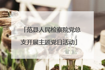 范县人民检察院党总支开展主题党日活动
