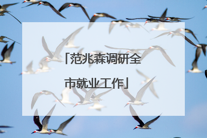 范兆森调研全市就业工作