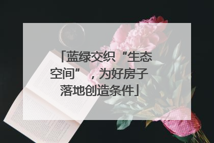 蓝绿交织“生态空间”，为好房子落地创造条件