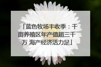 蓝色牧场丰收季：千亩养殖区年产值超三千万 海产经济活力足