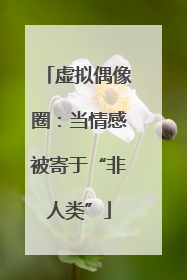 虚拟偶像圈：当情感被寄于“非人类”