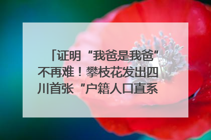 证明“我爸是我爸”不再难！攀枝花发出四川首张“户籍人口直系亲属关系谱”