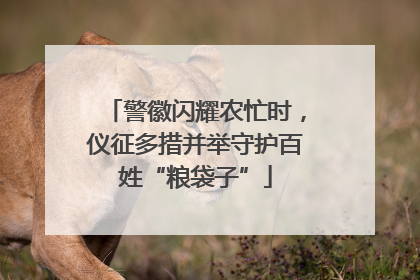 警徽闪耀农忙时，仪征多措并举守护百姓“粮袋子”