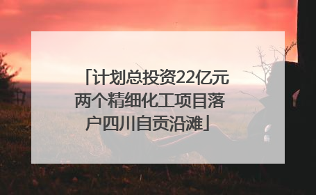 计划总投资22亿元 两个精细化工项目落户四川自贡沿滩