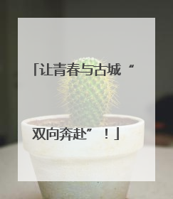 让青春与古城“双向奔赴”！