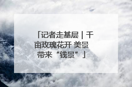 记者走基层｜千亩玫瑰花开 美景带来“钱景”