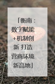 衡南：数字赋能+机制创新 打造营商环境新高地