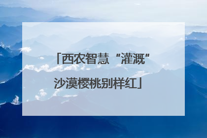 西农智慧“灌溉” 沙漠樱桃别样红