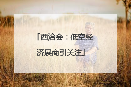 西洽会：低空经济展商引关注