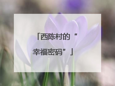 西陈村的“幸福密码”