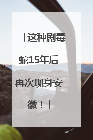 这种剧毒蛇15年后再次现身安徽！