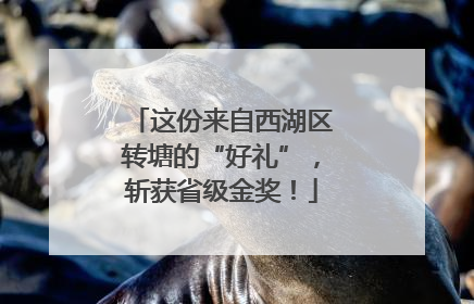 这份来自西湖区转塘的“好礼”，斩获省级金奖！
