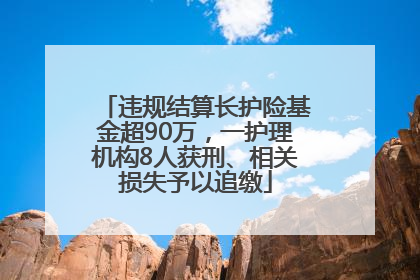 违规结算长护险基金超90万，一护理机构8人获刑、相关损失予以追缴